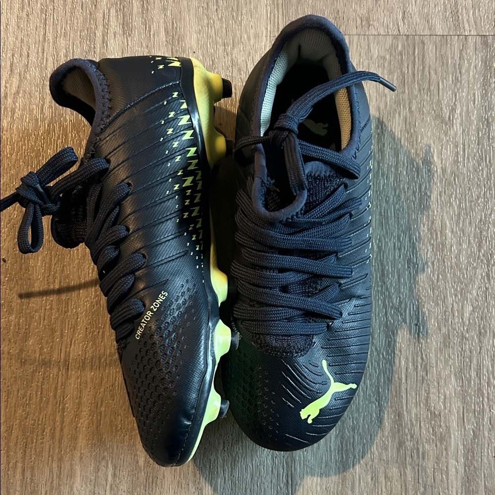 Puma with Vibrant Yellow Accents - Picture 4 of 8